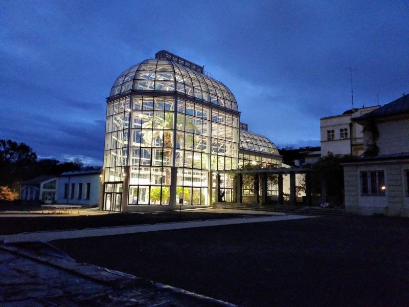 Palmiarnia UJ Kraków